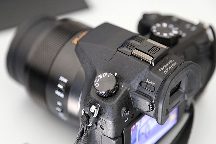 Panasonic FZ1000 (11).JPG